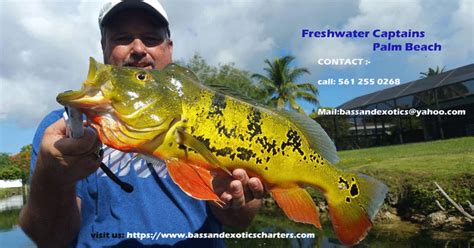 captain skip stina|Bass And Exotics Charters .